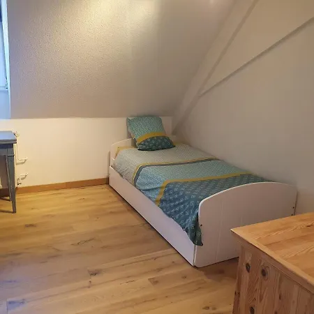 Mon Ptit Nid T3 Duplex Au Coeur De La Krutenau Апартаменты Страсбург