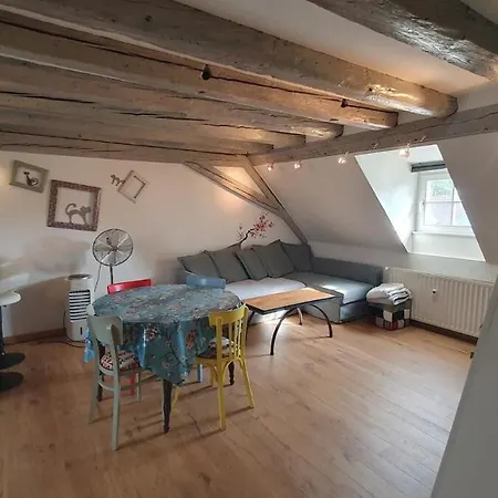 Mon Ptit Nid T3 Duplex Au Coeur De La Krutenau *