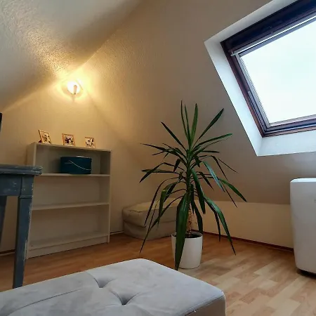 Mon Ptit Nid T3 Duplex Au Coeur De La Krutenau Апартаменты