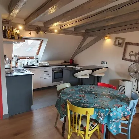 Mon Ptit Nid T3 Duplex Au Coeur De La Krutenau * Страсбург