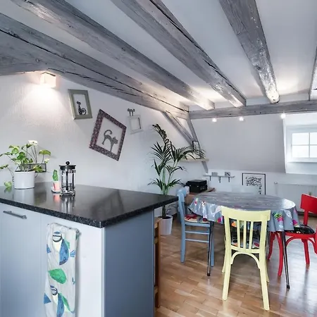 Mon Ptit Nid T3 Duplex Au Coeur De La Krutenau Appartamento