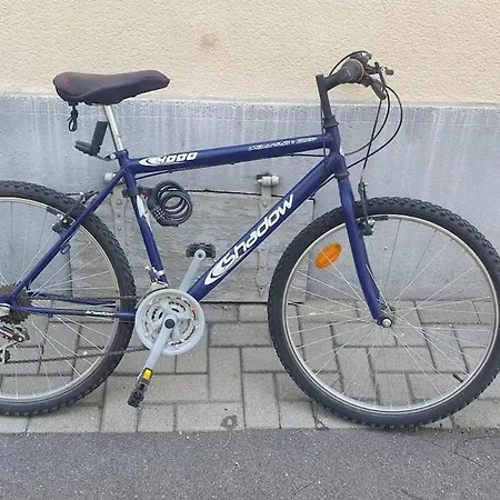 Lejlighed Mon Ptit Nid T3 Duplex Au Coeur De La Krutenau Strasbourg