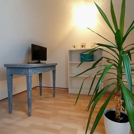 Mon Ptit Nid T3 Duplex Au Coeur De La Krutenau