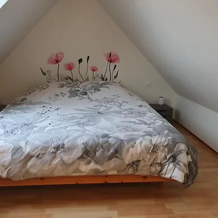 Апартаменты Mon Ptit Nid T3 Duplex Au Coeur De La Krutenau *