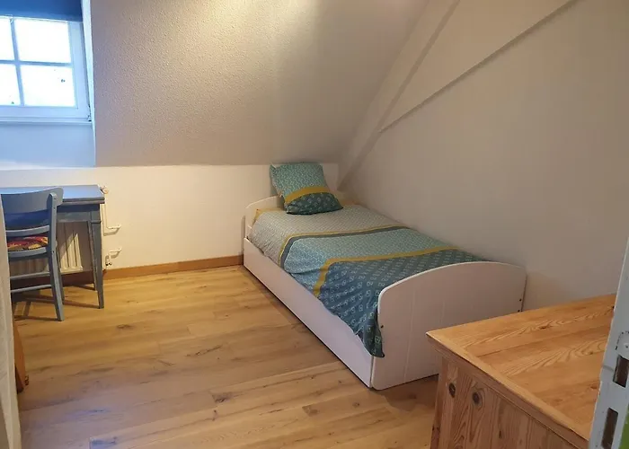Mon Ptit Nid T3 Duplex Au Coeur De La Krutenau Appartement Straatsburg