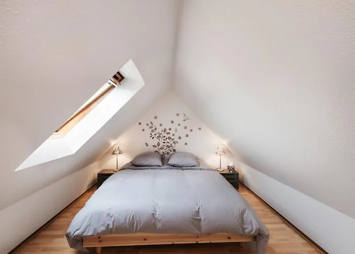 Apartment Mon Ptit Nid T3 Duplex Au Coeur De La Krutenau
