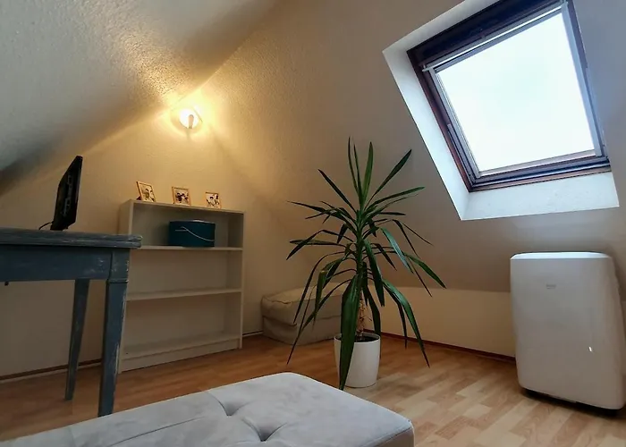 Mon Ptit Nid T3 Duplex Au Coeur De La Krutenau Appartement