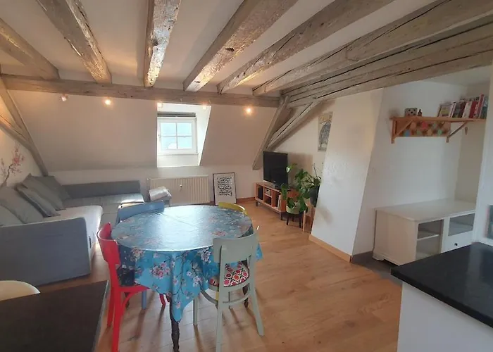 Appartement Mon Ptit Nid T3 Duplex Au Coeur De La Krutenau