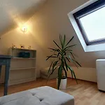 Mon Ptit Nid T3 Duplex Au Coeur De La Krutenau Appartamento