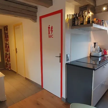 Mon Ptit Nid T3 Duplex Au Coeur De La Krutenau 斯特拉斯堡