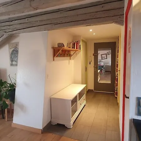 Mon Ptit Nid T3 Duplex Au Coeur De La Krutenau Lejlighed