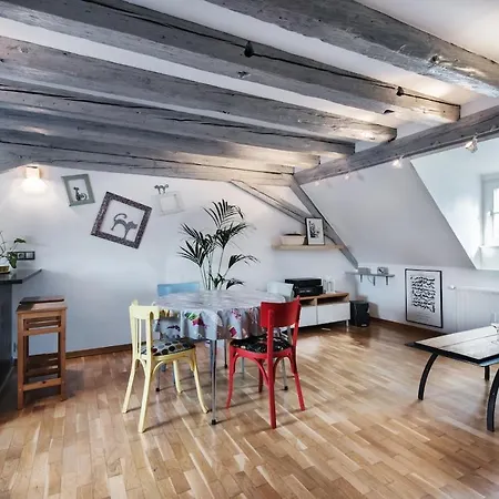 Mon Ptit Nid T3 Duplex Au Coeur De La Krutenau * 斯特拉斯堡