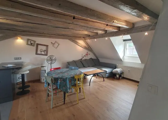 Mon Ptit Nid T3 Duplex Au Coeur De La Krutenau *