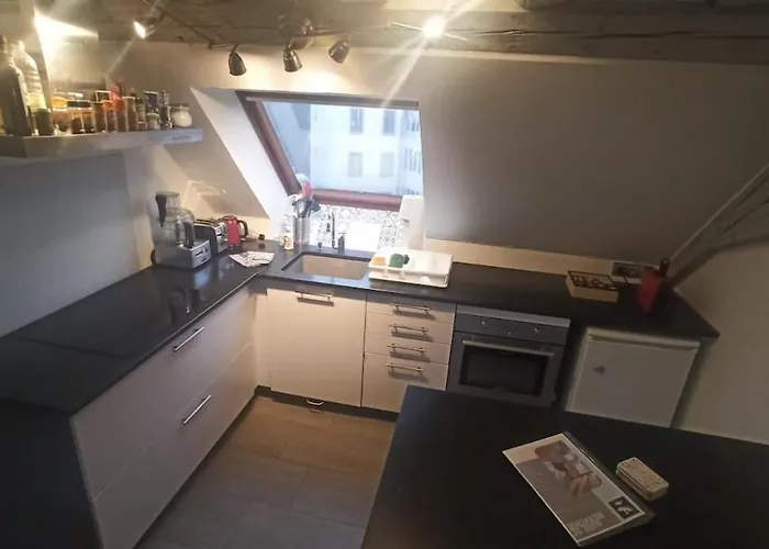 Mon Ptit Nid T3 Duplex Au Coeur De La Krutenau