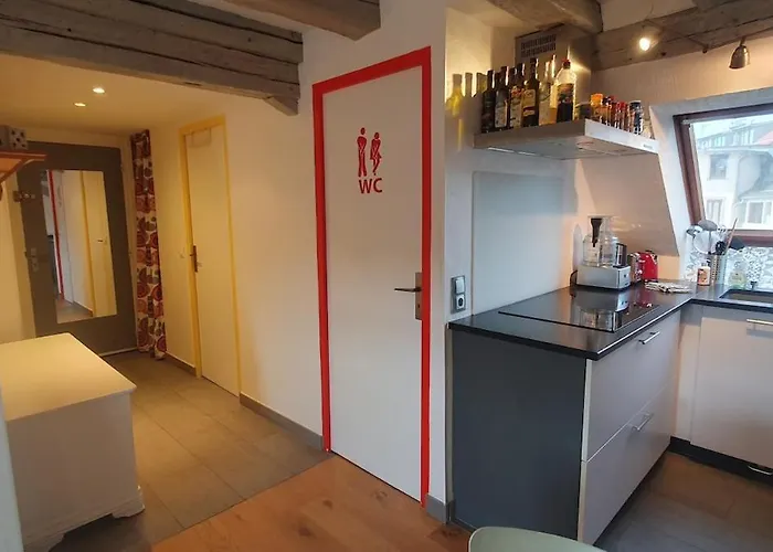 Mon Ptit Nid T3 Duplex Au Coeur De La Krutenau ستراسبورغ