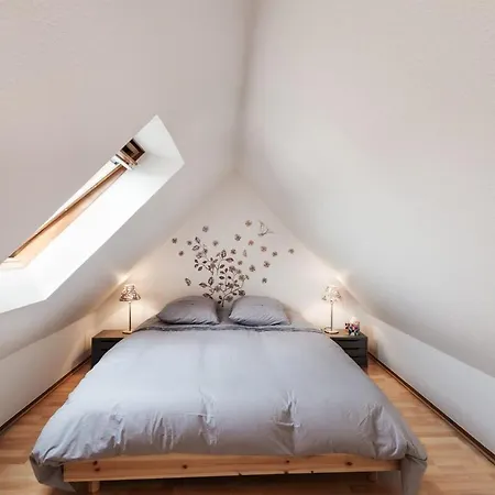 شقة Mon Ptit Nid T3 Duplex Au Coeur De La Krutenau