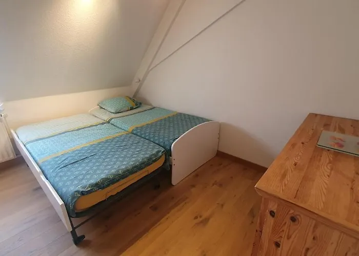 Mon Ptit Nid T3 Duplex Au Coeur De La Krutenau * Στρασβούργο