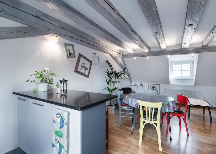 Mon Ptit Nid T3 Duplex Au Coeur De La Krutenau Διαμέρισμα