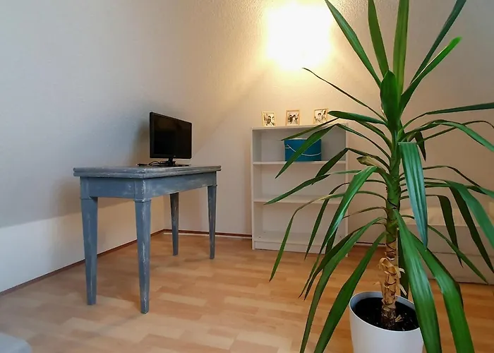 Mon Ptit Nid T3 Duplex Au Coeur De La Krutenau