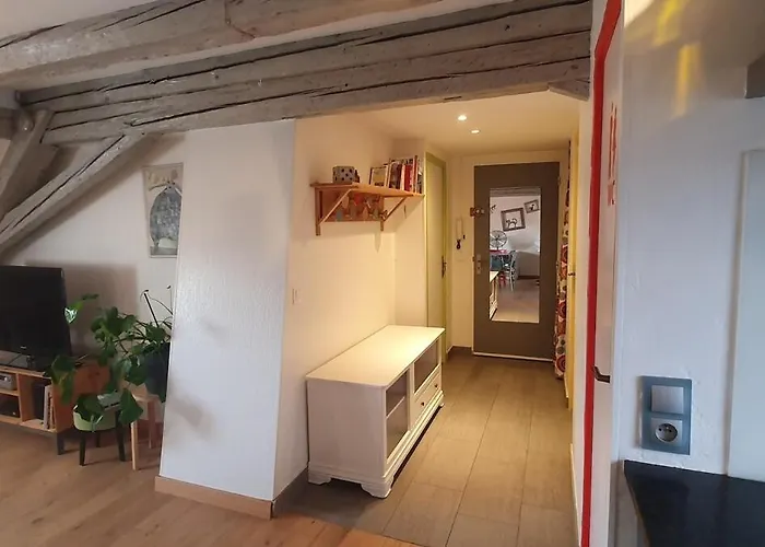 Mon Ptit Nid T3 Duplex Au Coeur De La Krutenau Διαμέρισμα