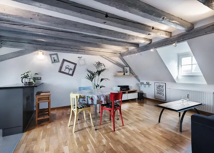 Mon Ptit Nid T3 Duplex Au Coeur De La Krutenau * Στρασβούργο